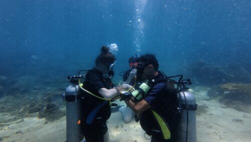Padi Certificate Con Dao Dive Center