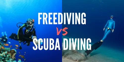 Freediving Diving in Viet Nam