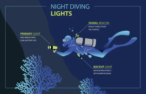 Night Dive Con Dao Diving
