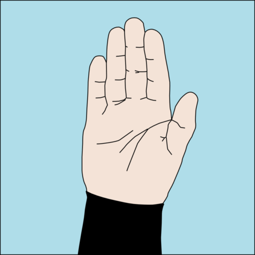 hand signal stop