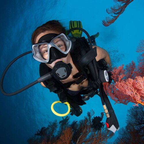 Dive Theory PADI