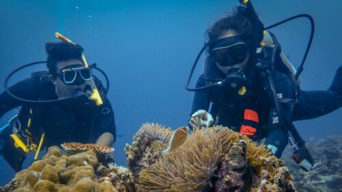 Dive Theory Section 4