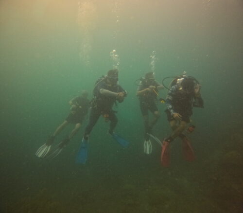 Fundive with Amadive