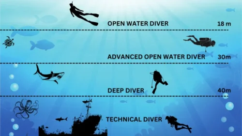 Deep Diving: A Complete Guide for the Advanced Open Water Course Deep Dive