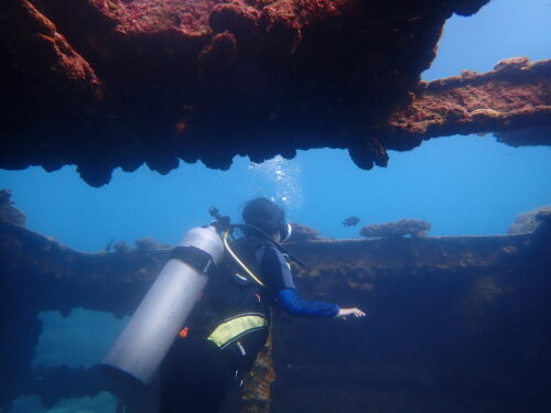 Wreck Dive
