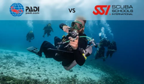 Getting Certificate Scuba Diving