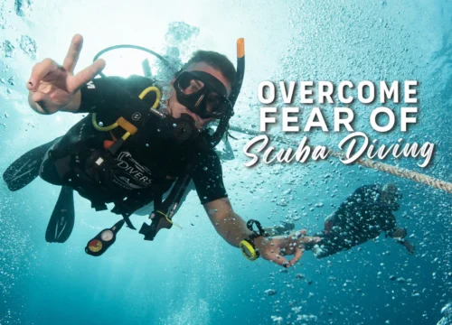 Overcoming Scuba Diving Fear