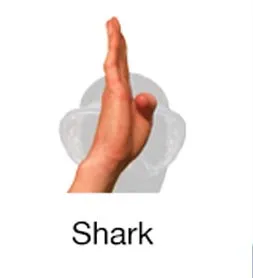 hand signal shark