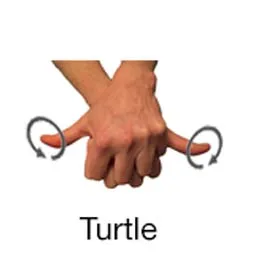 hand signal turtle