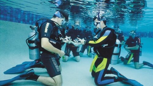 Scuba Diving Career