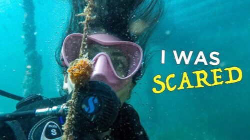 Overcoming Scuba Diving Fear