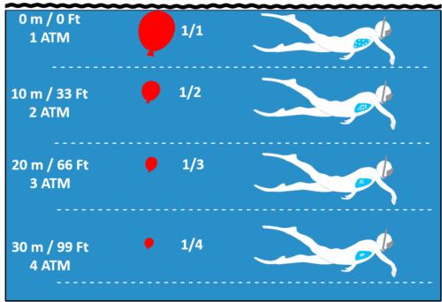 Dive Theory Section 1