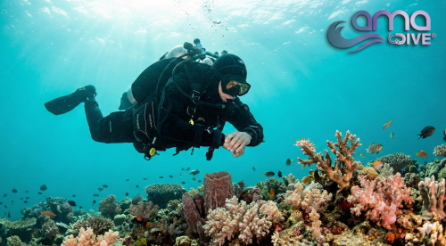 Eco Friendly no touch diving