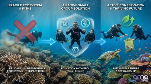 Marine Life Conservation