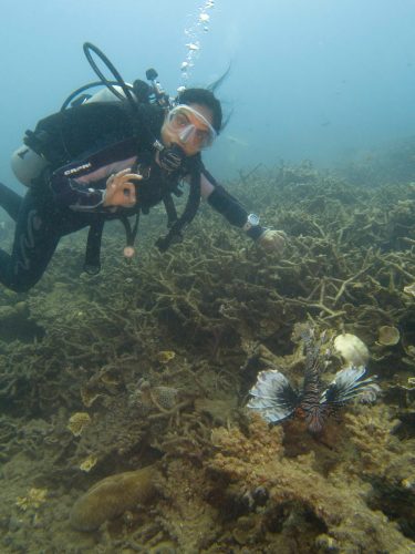 An Amadive diver demonstrating perfect buoyancy control while observing a native Lion Fish safely in Con Dao