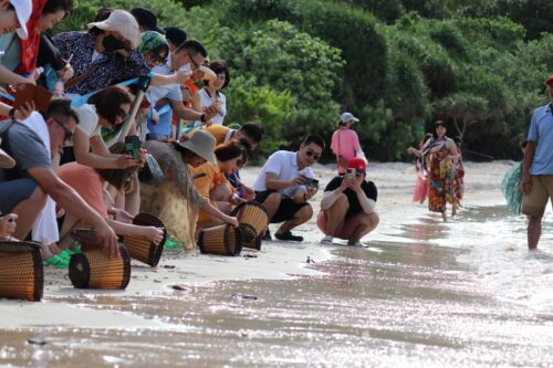 Con Dao National Park