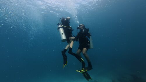 Amadive Con Dao Dive Center