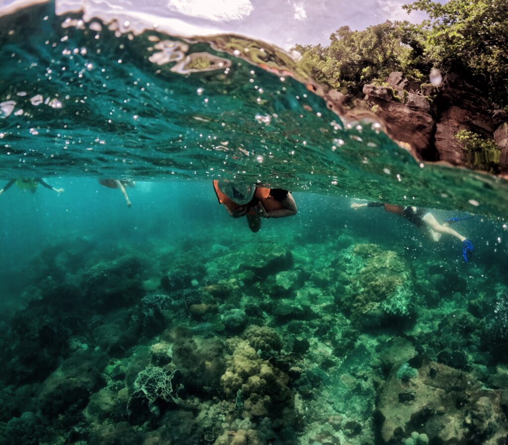 Phu quoc snorkeling Tour