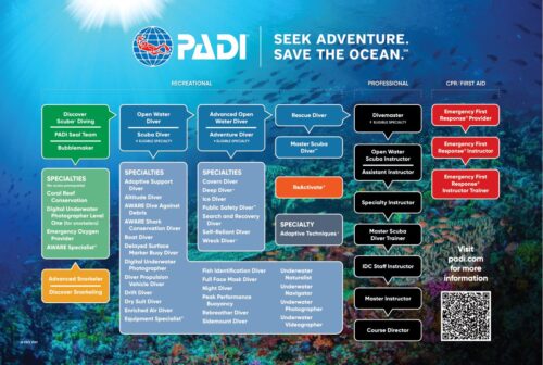Scuba Diving Course PADI in Con Dao island