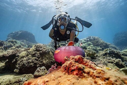 Best place to dive in Vietnam,diving vietnam