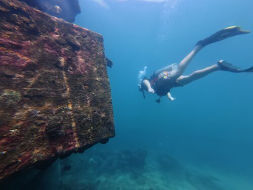 Scuba Diving in VietNam