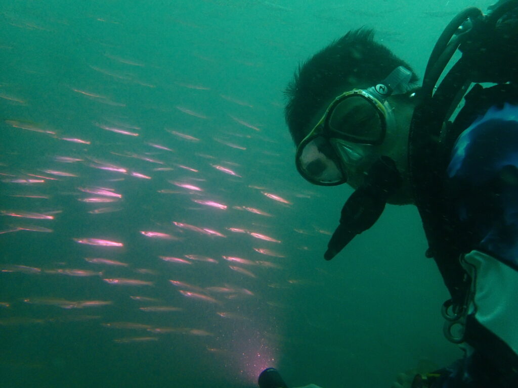 Fundive with Amadive