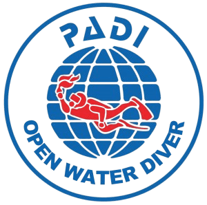PADI Dive Theory