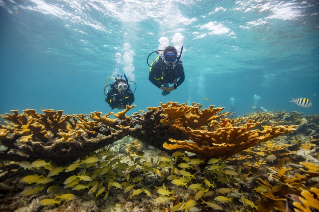 Dive Theory Section 3