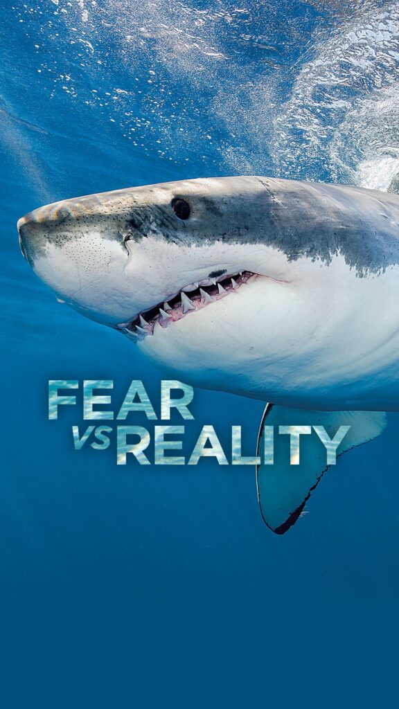 Fear of Sharks