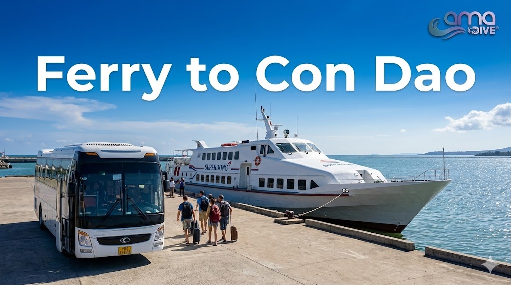Ferry to Con Dao from Soc Trang (Tran De)