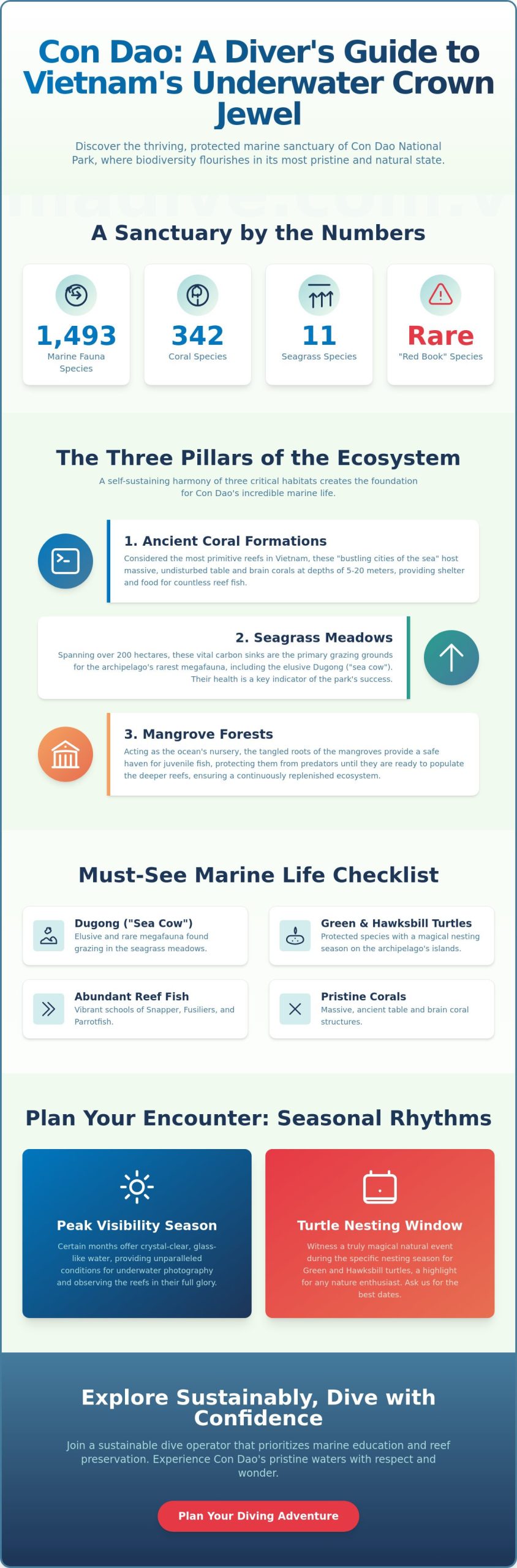 Con Dao Marine Life: A Complete Guide to Vietnam's Underwater Sanctuary